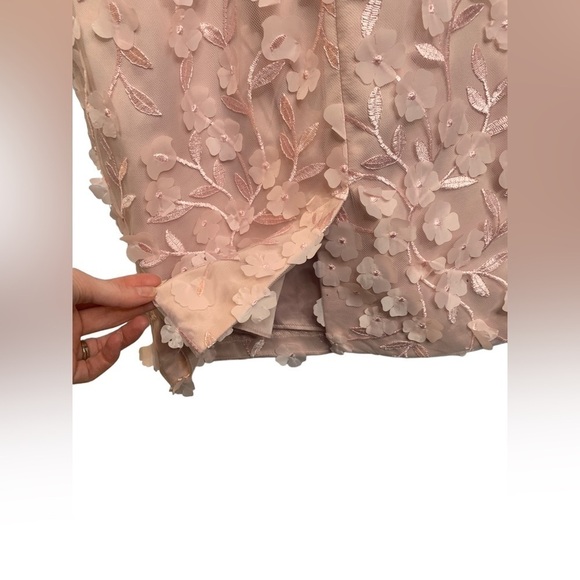 NWT Eliza J Blush Pink 3D Embroidered Applique Flowers Dress Size 6 - Picture 10 of 11